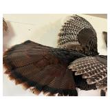 Mounted Wild Turkey Taxidermy with Wings Spread and Tail Fan on Wood Log Base