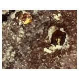 Rare "Bridge" Specimen: Lustrous Gem Sphalerite on Sparkling Druzy Quartz