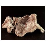 Rare "Bridge" Specimen: Lustrous Gem Sphalerite on Sparkling Druzy Quartz