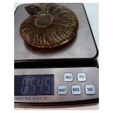 Exceptional Pair of Polished Cleoniceras Ammonites | 110M Year-Old Cretaceous Fossils | Intricate "Oak-Leaf" Suture Pattern | Mahajanga, Madagascar