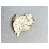 Authentic Campo del Cielo Iron Meteorite Pendant – "Field of Heaven" Space Jewelry