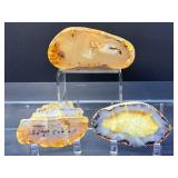 Rare Dendritic Agate Specimens - "The Stones of Plenitude"