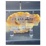 Rare Dendritic Agate Specimens - "The Stones of Plenitude"