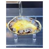 Rare Dendritic Agate Specimens - "The Stones of Plenitude"