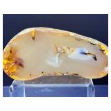 Rare Dendritic Agate Specimens - "The Stones of Plenitude"