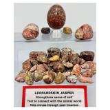 Leopardskin Jasper "Jaguar Stone" Master Collection –  Premium Set