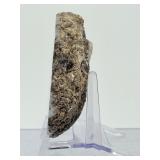 Polished Mexican Coconut "Las Choyas" Geode Half - Icy Blue Agate Specimen