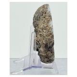 Polished Mexican Coconut "Las Choyas" Geode Half - Icy Blue Agate Specimen