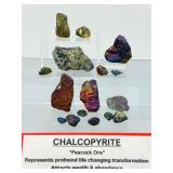 Raw Chalcopyrite "Peacock Ore" Specimen Lot – Iridescent Rainbow Healing Crystals