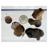 8-Piece Master Collection of Rare Botryoidal Chalcedony & "Speaker