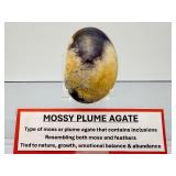 Stunning Polished Mossy Plume Agate Specimen – Rare Internal "Feather" Patterns
