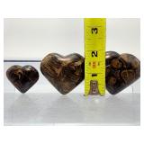 2-Billion-Year-Old "Oxygen Origins" Stromatolite Fossil Hearts – Set of 3