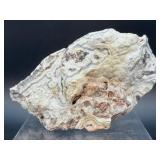 Laughter Stone" Crazy Lace Agate – Large Unpolished Collector Specimen (Chihuahua, Mexico)