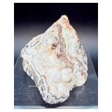 Laughter Stone" Crazy Lace Agate – Large Unpolished Collector Specimen (Chihuahua, Mexico)