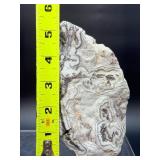 Laughter Stone" Crazy Lace Agate – Large Unpolished Collector Specimen (Chihuahua, Mexico)