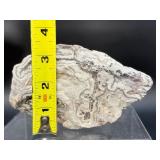 Laughter Stone" Crazy Lace Agate – Large Unpolished Collector Specimen (Chihuahua, Mexico)