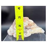 Laughter Stone" Crazy Lace Agate – Large Unpolished Collector Specimen (Chihuahua, Mexico)