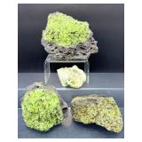 Rare Natural Peridot in Basalt Matrix Cluster – Raw "Gem of the Sun" Olivine Xenolith Specimens – Authentic Arizona/San Carlos Mineral Collection