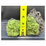 Rare Natural Peridot in Basalt Matrix Cluster – Raw "Gem of the Sun" Olivine Xenolith Specimens – Authentic Arizona/San Carlos Mineral Collection