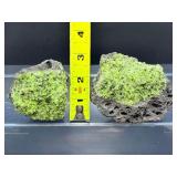 Rare Natural Peridot in Basalt Matrix Cluster – Raw "Gem of the Sun" Olivine Xenolith Specimens – Authentic Arizona/San Carlos Mineral Collection