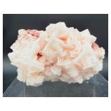 Museum-Quality Pink Halite Crystal Cluster – Rare "Hopper" Formation from Searles Lake, CA