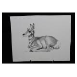 George Arnold - Graphite Drawing of a Greyhound in Profile Approximately 15" x 13"