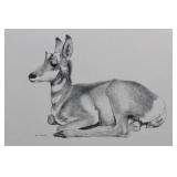 George Arnold - Graphite Drawing of a Greyhound in Profile Approximately 15" x 13"