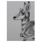 George Arnold - Graphite Drawing of a Greyhound in Profile Approximately 15" x 13"