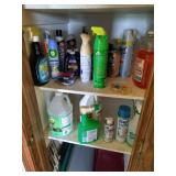 Closet of Cleaning Supplies