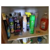 Closet of Cleaning Supplies