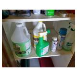 Closet of Cleaning Supplies