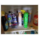 Closet of Cleaning Supplies