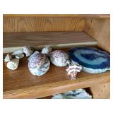 Seashells & Beautiful Geode Slab