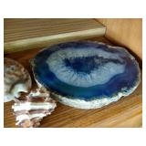 Seashells & Beautiful Geode Slab