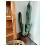 Southwest Themed Decor