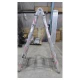 KPro Extendable Step Ladder