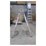 Werner Extendable Step Ladder