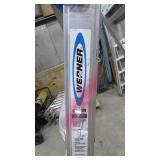 Werner Extendable Step Ladder