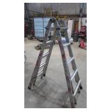 Werner Extendable Step Ladder