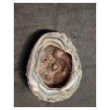 Geode Rock Specimen with Crystal Interior - 3.5" across