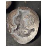 Geode Rock Specimens