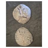 Geode Rock Specimens