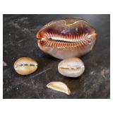 Cowrie Shell Collection including Large Tiger Cowrie and Smaller Shells - Large is 3"