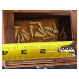 Small Shark Teeth in Decorative Wooden Box