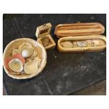 Collection of Seashells in Decorative Wooden Boxes