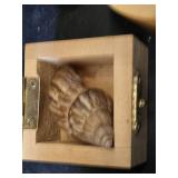 Collection of Seashells in Decorative Wooden Boxes