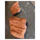 Driftwood and Petrified Wood Lot