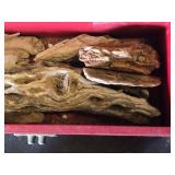 Driftwood and Petrified Wood Lot