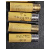 Federal and Winchester 20 Gauge Shotgun Shells (3 empty)  and Other Ammunition