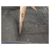 Animal Skull and Antlers